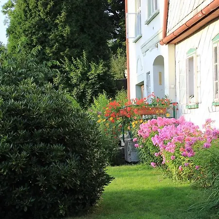Apartman Carpe Diem