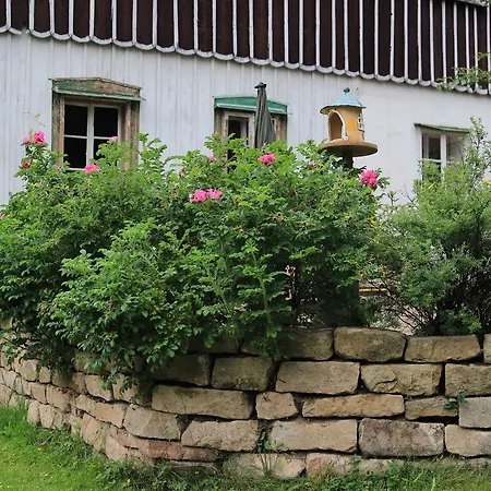 Lejlighed Apartman Carpe Diem